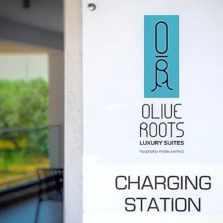 Olive Roots فندق