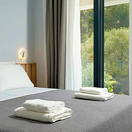 Olive Roots لايميناس